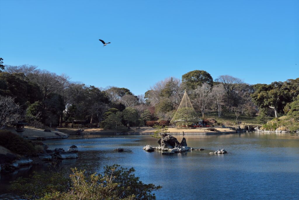 日本庭園と鳥